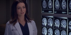 Dr. Amelia Shepherd, Greys Anatomy