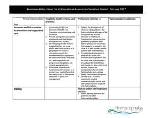 HA Transition Initiative Action Plan