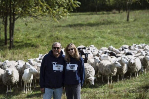 Sheep and us 2017 Hi res