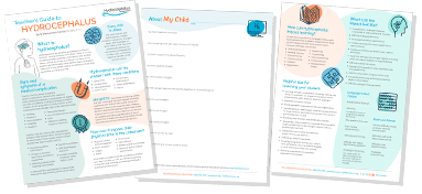 education fact sheets