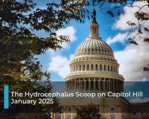 January, Advocacy, Hydrocephalus