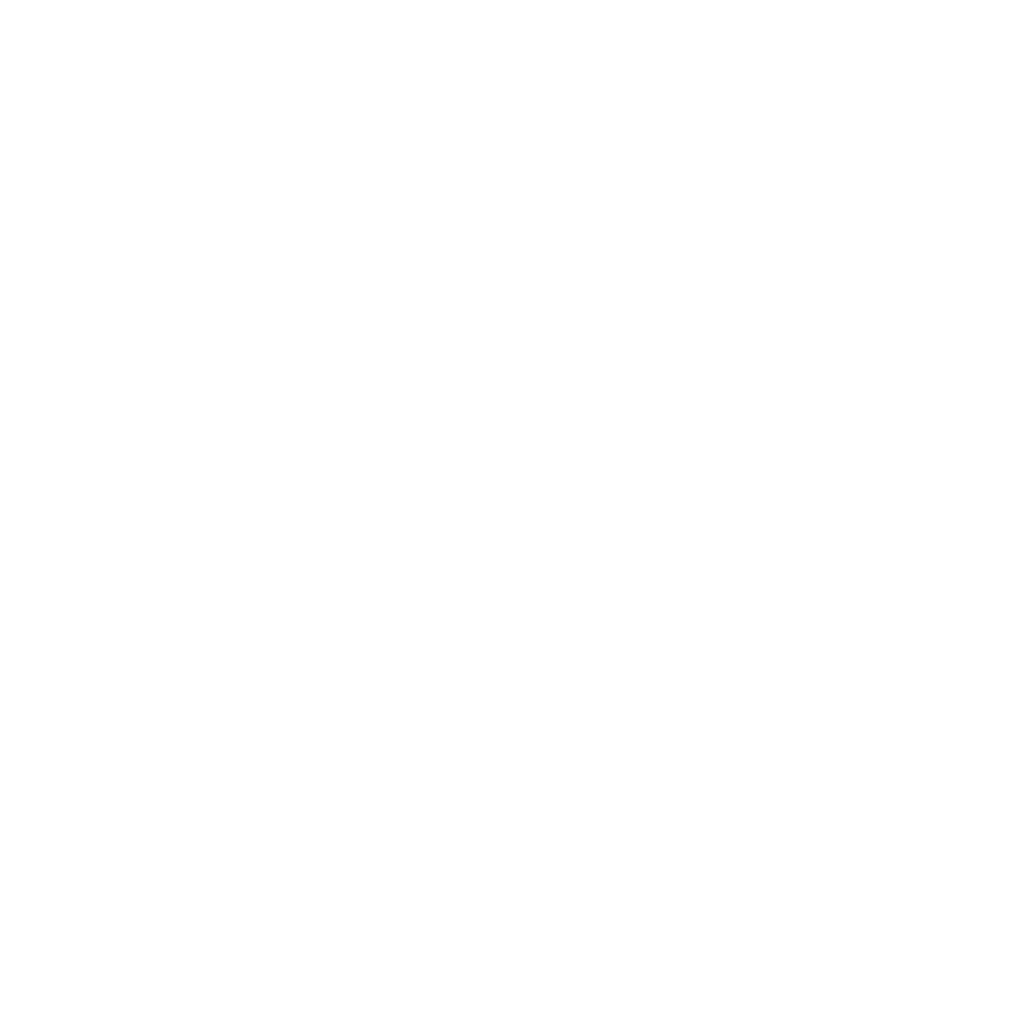 Marine Corps Marathon Logo in White