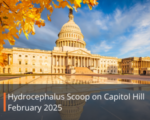 Advocacy, The scoop