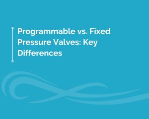 Programmable vs fixed pressure valves