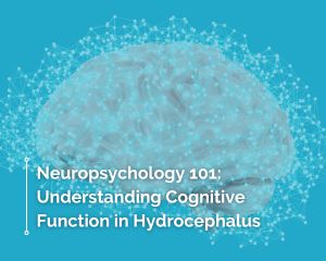 Understanding Neuropsychology