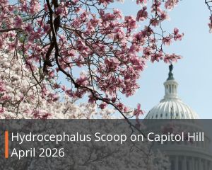 Cherry Blossoms in picture with capitol hill