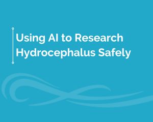 Using AI to Research Hydrocephalus Safely 