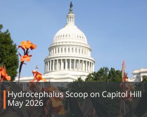 U.S. Capitol Building with flowers