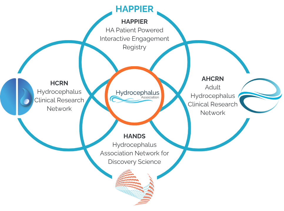 Research Networks