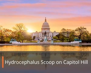 Advocacy August